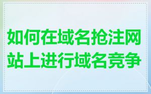 如何在域名抢注网站上进行域名竞争