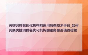 关键词排名优化机构都采用哪些技术手段_如何判断关键词排名优化机构的服务是否值得信赖
