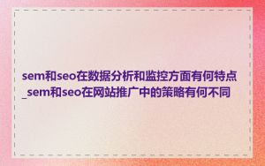 sem和seo在数据分析和监控方面有何特点_sem和seo在网站推广中的策略有何不同