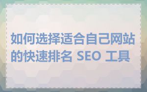 如何选择适合自己网站的快速排名 SEO 工具