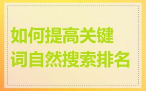 如何提高关键词自然搜索排名