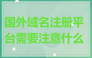 国外域名注册平台需要注意什么