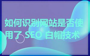 如何识别网站是否使用了 SEO 白帽技术