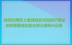 如何在网页上查找域名对应的IP地址_如何查看域名的主机记录和A记录