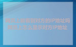 网页上能看到对方的IP地址吗_网页上怎么显示对方IP地址