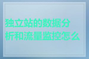 独立站的数据分析和流量监控怎么做