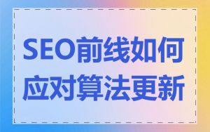SEO前线如何应对算法更新