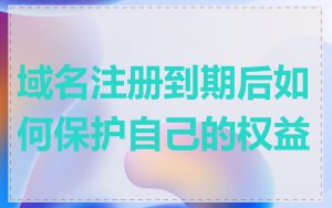 域名注册到期后如何保护自己的权益