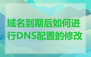 域名到期后如何进行DNS配置的修改
