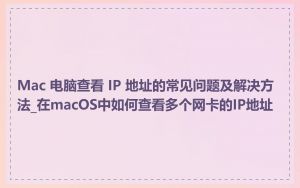 Mac 电脑查看 IP 地址的常见问题及解决方法_在macOS中如何查看多个网卡的IP地址