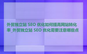 外贸独立站 SEO 优化如何提高网站转化率_外贸独立站 SEO 优化需要注意哪些点