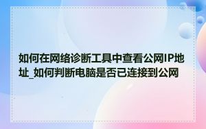 如何在网络诊断工具中查看公网IP地址_如何判断电脑是否已连接到公网