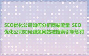 SEO优化公司如何分析网站流量_SEO优化公司如何避免网站被搜索引擎惩罚