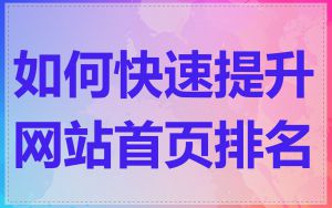 如何快速提升网站首页排名