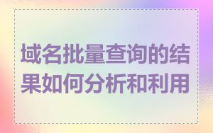 域名批量查询的结果如何分析和利用
