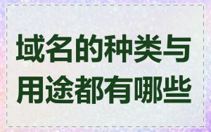 域名的种类与用途都有哪些
