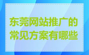 东莞网站推广的常见方案有哪些