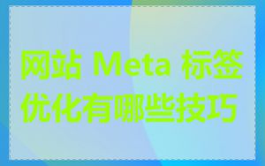 网站 Meta 标签优化有哪些技巧