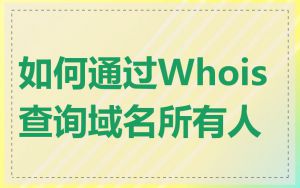如何通过Whois查询域名所有人