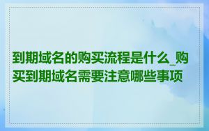 到期域名的购买流程是什么_购买到期域名需要注意哪些事项