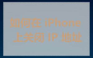 如何在 iPhone 上关闭 IP 地址