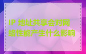 IP 地址共享会对网络性能产生什么影响