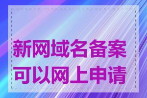 新网域名备案可以网上申请吗