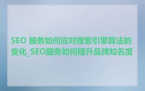 SEO 服务如何应对搜索引擎算法的变化_SEO服务如何提升品牌知名度