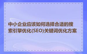 中小企业应该如何选择合适的搜索引擎优化(SEO)关键词优化方案
