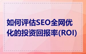 如何评估SEO全网优化的投资回报率(ROI)