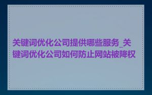 关键词优化公司提供哪些服务_关键词优化公司如何防止网站被降权