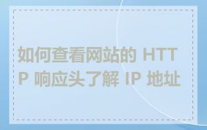 如何查看网站的 HTTP 响应头了解 IP 地址