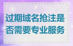 过期域名抢注是否需要专业服务