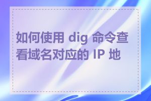 如何使用 dig 命令查看域名对应的 IP 地址