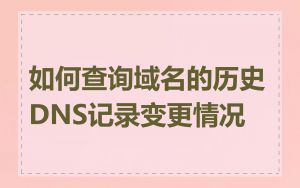 如何查询域名的历史DNS记录变更情况