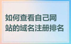 如何查看自己网站的域名注册排名