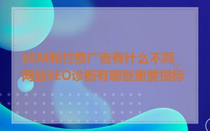 SEM和付费广告有什么不同_网站SEO诊断有哪些重要指标