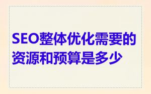 SEO整体优化需要的资源和预算是多少