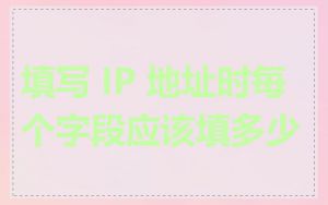 填写 IP 地址时每个字段应该填多少
