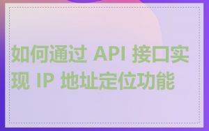 如何通过 API 接口实现 IP 地址定位功能