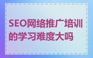 SEO网络推广培训的学习难度大吗