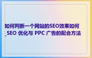 如何判断一个网站的SEO效果如何_SEO 优化与 PPC 广告的配合方法