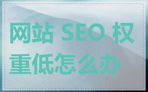 网站 SEO 权重低怎么办