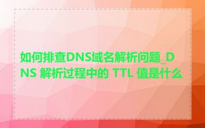 如何排查DNS域名解析问题_DNS 解析过程中的 TTL 值是什么