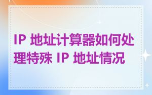 IP 地址计算器如何处理特殊 IP 地址情况