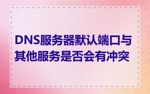 DNS服务器默认端口与其他服务是否会有冲突