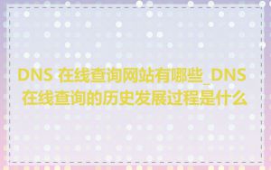 DNS 在线查询网站有哪些_DNS 在线查询的历史发展过程是什么