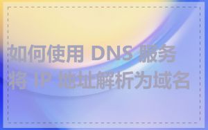 如何使用 DNS 服务将 IP 地址解析为域名