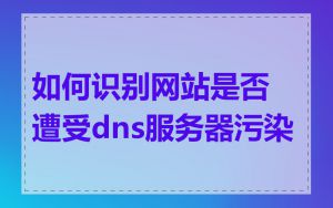 如何识别网站是否遭受dns服务器污染