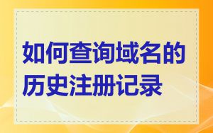 如何查询域名的历史注册记录